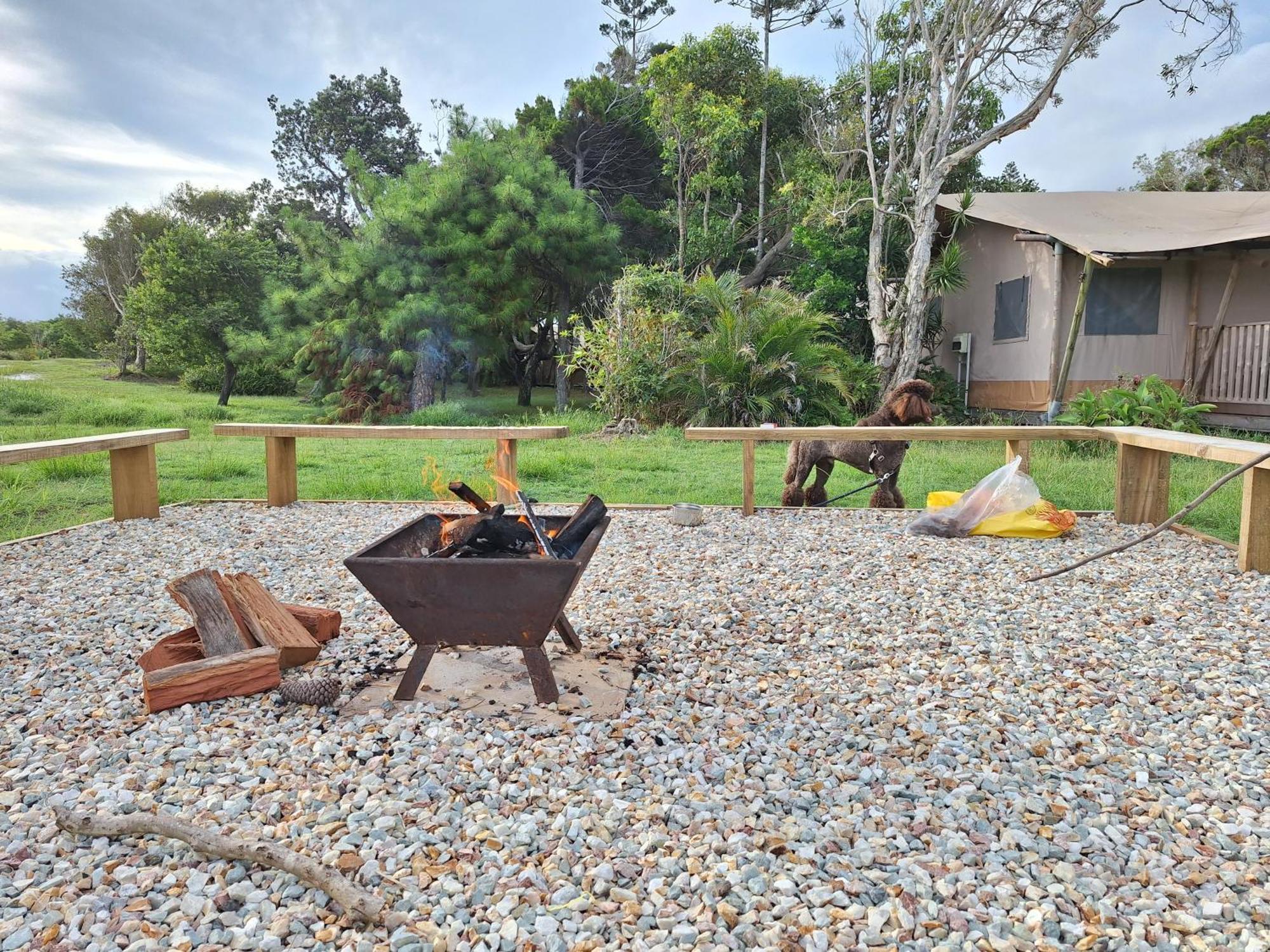 Ballina Beach Nature Resort Exterior foto